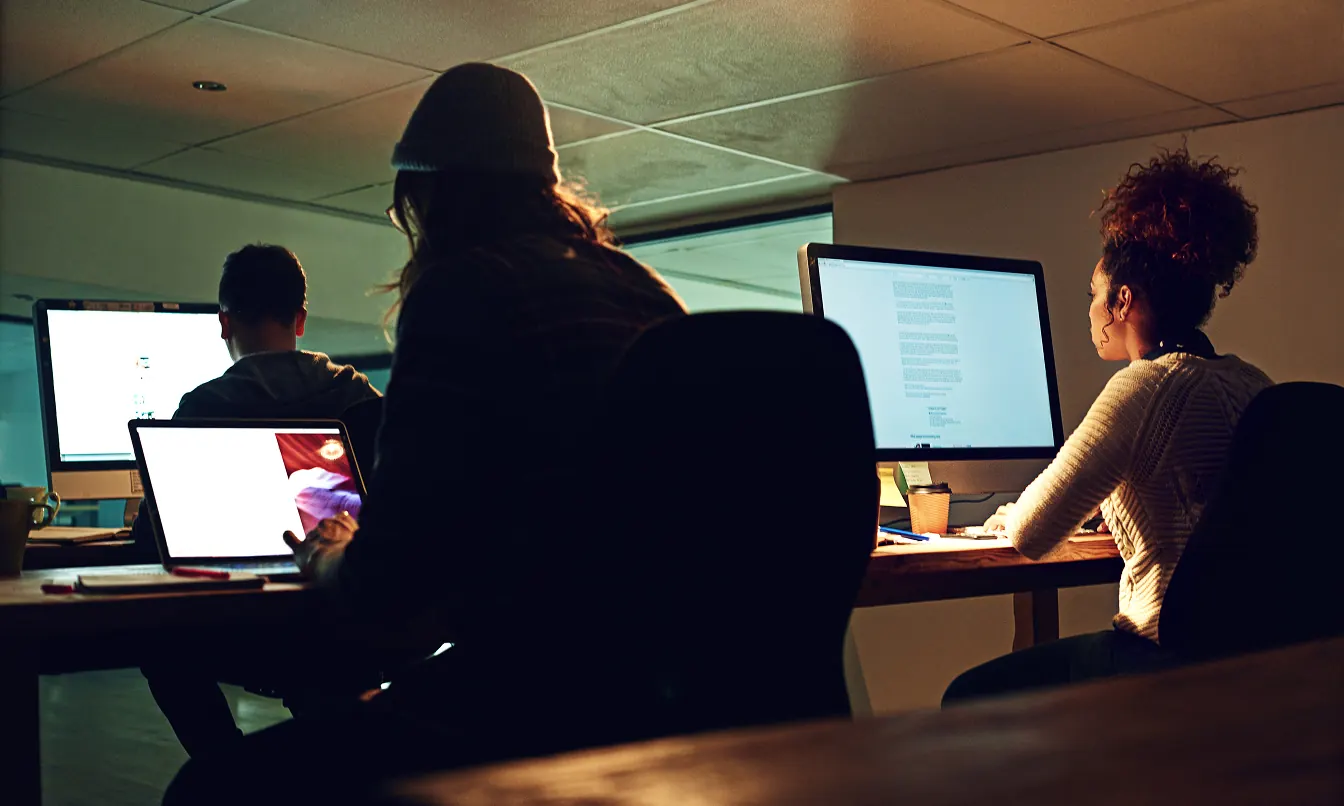 ERP Customization & Integration